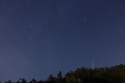 Прикрепленное изображение: DSC03126_W.jpg